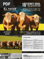 El Yatay Catalogo 2020 