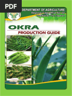 Okra