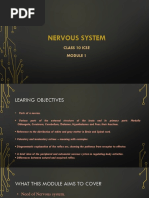 Nervous System Module 1 PDF