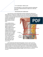 III. 33. Canalul Inghinal