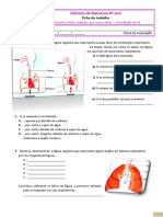 Ficha de Avaliação