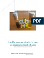 Las Plantas Medicinales La Base de Medicamentos Herbarios