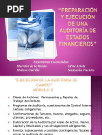 Ejercicios Practicos de Auditoria PDF