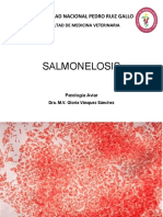 11 Salmonelosis