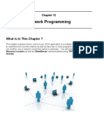 Network Programming: What Is in This Chapter ?