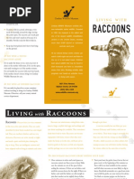 Raccoons: Living With