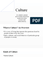 Culture: By: Afreen Lashari Arooj Fatima Khakwani Mahnoor Nawaz Salman Arif Sidra Farooq