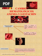 Cambios Hematologicos