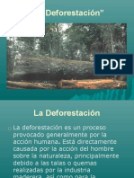 La Deforestacion