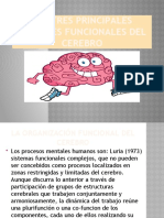 Las Tres Principales Unidades Funcionales Del Cerebro