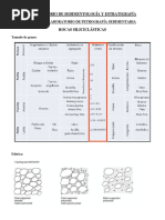 ANEXO ROCAS SILICICLÁSTICAS Descripcion