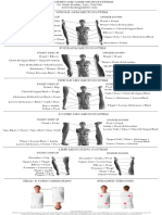 Mirroring and Microsystems With Torsos