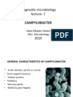 Diagnostic Microbiology: Campylobacter