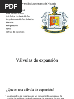 Valvula de Expansion