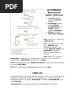 bioquimica-CETOGENESIS Y CETOLISIS