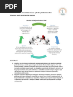 Modelo RSE Lorena M PDF