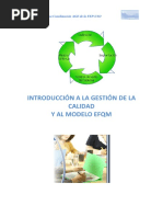 Manual EFQM PDF