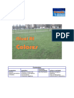 A1 Colores Actividad