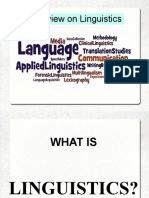 Overview On Linguistics