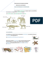 Animales Vertebrados e Invertebrados