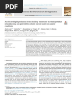 International Biodeterioration & Biodegradation: Toruloides Using An Open-Bubble-Column Reactor Under Non-Aseptic