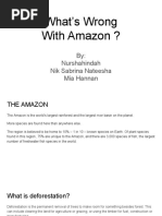 What's Wrong With Amazon ?: By: Nurshahindah Nik Sabrina Nateesha Mia Hannan