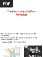 The Permanent Maxillary Premolars