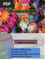 Principles of Marketing: Lesson 1