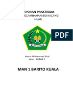 Rizal Laporan-Praktikum-Kecepatan-Perkecambahan-Biji-Kacang-Hijau