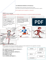 Guia 2 Ciencias Naturales Esqueleto y Musculos