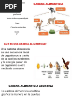 5°#2 Diapositiva