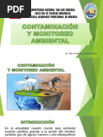 Contaminacion Ambiental