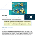 The Physical Structure of The Human Genome: Nuclear DNA