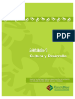 Cultura y Desarrollo PDF