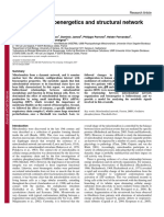 Mitochondrial Bioenergetics and Structural Network Organization