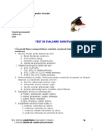 Asamblari Nedemontabile Test Evaluare Sumativa