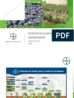 Portafolio BCS de Arandanos