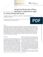 Forestry: Growth of Understorey Scots Pine (Pinus in Mixed Temperate Forest