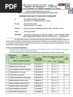 Informe Institucional 1 Señor de Huanca Enviar