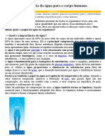 6 Ano Importância Da Água para o Corpo Humano