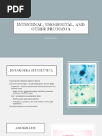 Intestinal, Urogenital, and Other Protozoa