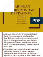 Epidermis Dan Derivatnya