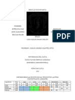 Termo Informe Arequipe