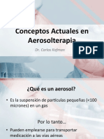 Aerosoles PPT