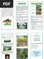 Triptico La Selva Peruana