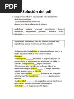 Solución Del PDF