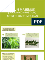 Daun Majemuk