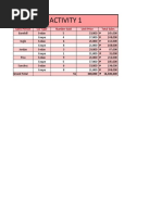 Activity 1: Sales Person Car Type Number Sold Unit Price Total Sales