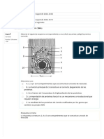 Autoevaluación TP 9 - Cuestionario Único