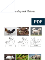 Bahasa Isyarat Haiwan